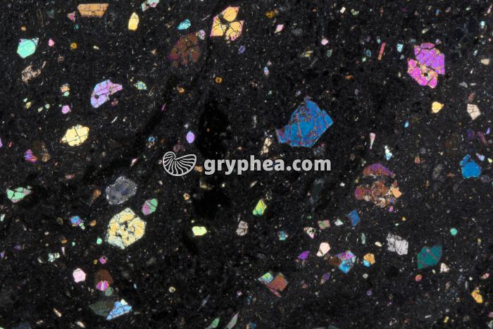 Basalte LPA x3 - gryphea.com